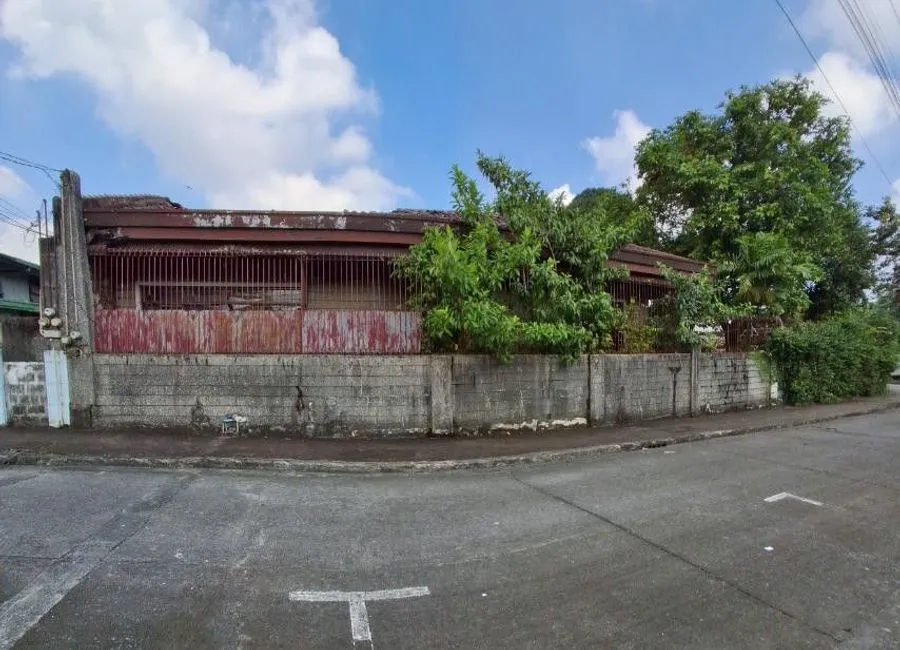 Industrial Property for Sale in Industrial Valley Complex, Marikina